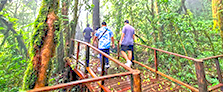 Excursion à Doi Inthanon avec guide francophone