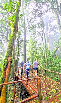 Excursion Doi Inthanon