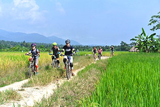 Promenade en vélo à Chiang Mai